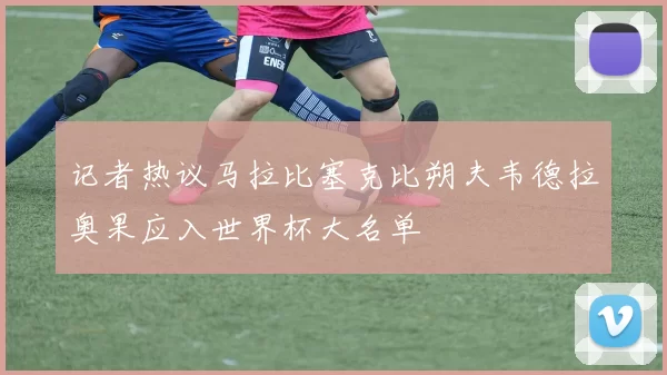 记者热议马拉比塞克比朔夫韦德拉奥果应入世界杯大名单