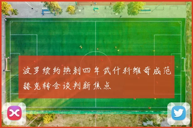 波罗续约热刺四年武什科维奇成范赫克转会谈判新焦点